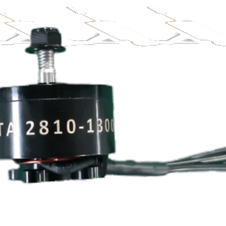 Электродвигатель 2810